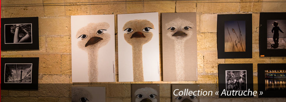 Collection : Autruche