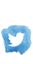 Suivez mes actus sur Twitter !